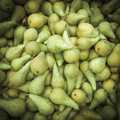 Alimentos y bebidas